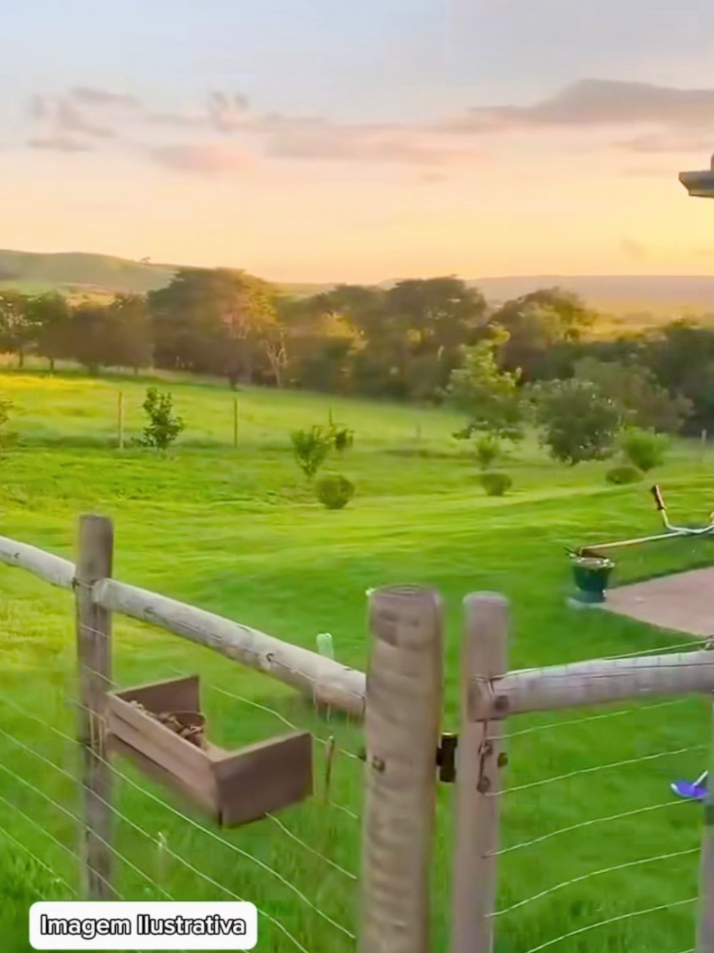 Fazenda - Venda - Rural - Salinas - MG