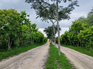 Exclusivo! �rea ampla em condom�nio 5 estrelas