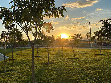 Residencial Parque dos Ip�s - Terrenos