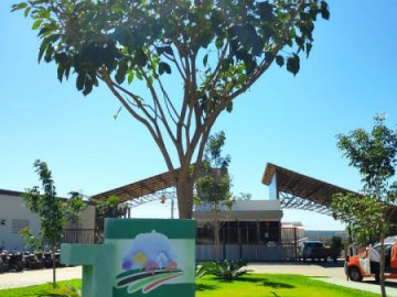 Residencial Parque dos Ip�s - Terrenos